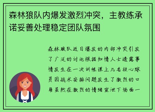 森林狼队内爆发激烈冲突，主教练承诺妥善处理稳定团队氛围